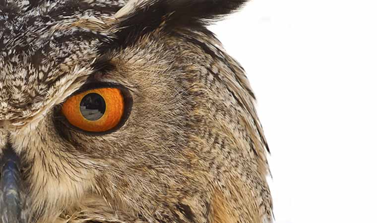 Doğaya Tansu Gürpınar’ın Gözünden Bakmaya Ne Dersiniz?