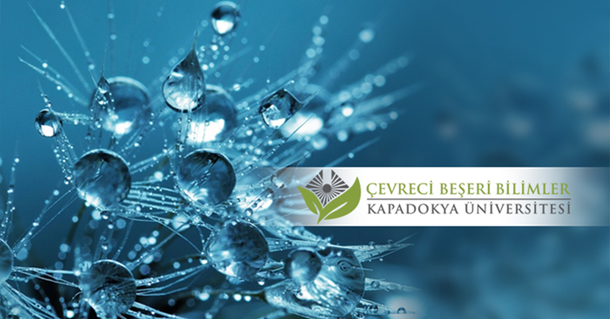 Çevreci Beşeri Bilimler Alanının COVID-19'a Cevabı: Açık Mektup