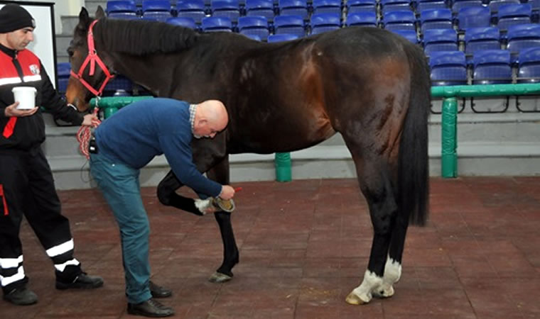 Sinan Özbek TJK’da Eğitim Verdi